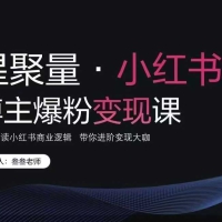 叁叁老师小红书营销爆粉变现课 深入解读