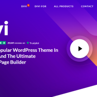 WordPress多功能主题–Divi主题 Divi Theme v4.27.4 破解版免费下载