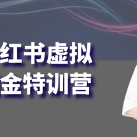 锋声小红书虚拟电商掘金特训营