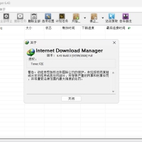 下载利器IDM v6.43.8绿色版
