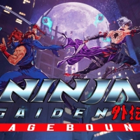 忍者外传 怒之羁绊|豪华中文|Build.19273264-破界之誓-烈魂双刃+全DLC-支持手柄解压即