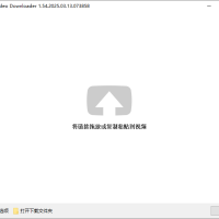 DLNow Video Downloader v1.54.2025.04.26 多语便携版