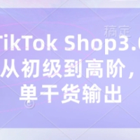 东南亚TikTok Shop3.0课TK小店​从初级到高阶