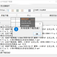 微信公众号视频下载器
