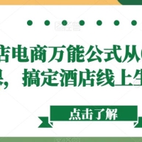 酒店电商万能公式从 0 到 1 视频课，搞定酒店线上生意问题