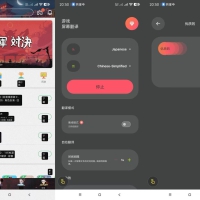 游戏屏幕实时翻译（可识别全球语言）