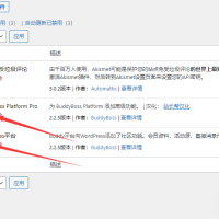 WordPress社区平台插件–BuddyBoss Platform Pro v2.7.70 破解版下载