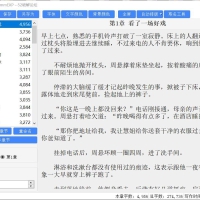 小说写作软件添加替换功能绿色免费不联网