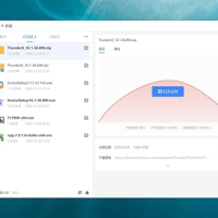 Windows 迅雷12 登录即是VIP10 无广告去限速版