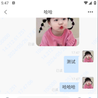 5月最新简聊im即时通讯源码