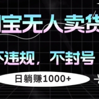 淘宝无人卖货，不违规不封号，简单无脑，日躺入几张