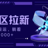 拉新最新社区暴力玩法，无脑搬运，躺着日入1000+