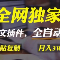 AI 掘金 2.0，通过一个插件全自动输出爆文，粘贴复制矩阵操作，月入 3W+