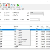 zRenamer(批量改名工具)v1.5 绿色版