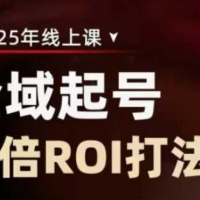 2025全域起号10倍ROI打法课，助你提升直播间的投资回报率