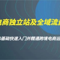 跨境电商独立站及全域流量营销，从0基础快速入门并精通跨境电商运营