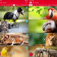 动物手机铃声v20.0高级版/享受大自然的声音