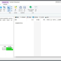 TreeSize Professional(磁盘容量分析器)绿色版