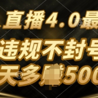 TB无人直播最新玩法，不违法不封号