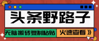 头条野路子玩法之相亲赛道，无脑搬砖复制粘贴，单账号日稳定300+保姆级教程