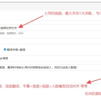 小牛AI视频翻译(YouTube 油管 搬运)