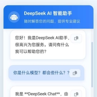 Deepseek网页版源码
