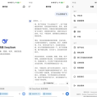 DeepSeek1.1.4完全免费-天花板级AI