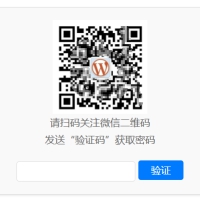 WordPress原创插件：Code-verification 微信或QQ二维码验证引导关注