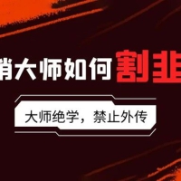 营销大师如何割韭菜：流量大师/讲故事大师/话术大师/卖货大师/成交大师/变现大师/影响力大师/裂变大师