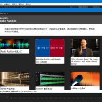 Adobe Premiere Pro 2025 (v25.1.0) PS破解版
