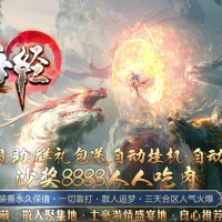 山海经专属沉默攻速单职业版[新GOM引擎]