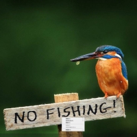 微PE工具箱64位v2.3 2026.01.03 维护增强版