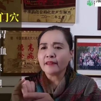 脏腑推拿点穴课程初级班+专业班完整课程