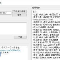 PC抖侠-抖音批量去水印下载器