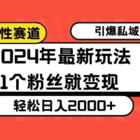 24 年最新男性赛道玩法，引爆私域流量，1个粉丝就变现，轻松日入2000+