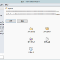 Beyond Compare v4.2.6.23150 x64免费版