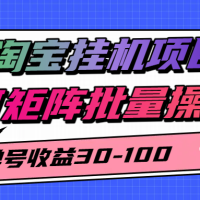 淘宝挂机项目，单号30-100，可矩阵批量操作
