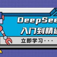 DeepSeek入门到精通，涵盖职场应用及身份扮演，驯服指南及顶级提示词
