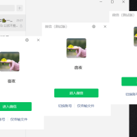 微信Windows版 v4.0.5.15 多开&消息防撤回正式版绿色版纯64位