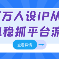 百万人设IP从0到1稳抓平台流量